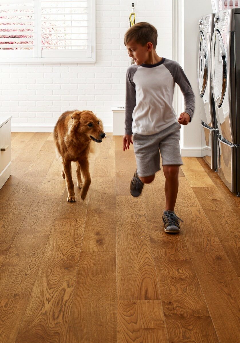 Pet friendly floor | Sullivan & Son Carpet